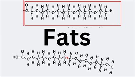 Polyunsaturated Fat Vs Trans Fat