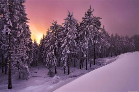 *🇩🇪 Winter dusk (Thuringian Forest, Germany) by Kilian Schönberger on 500px E | Landscape ...