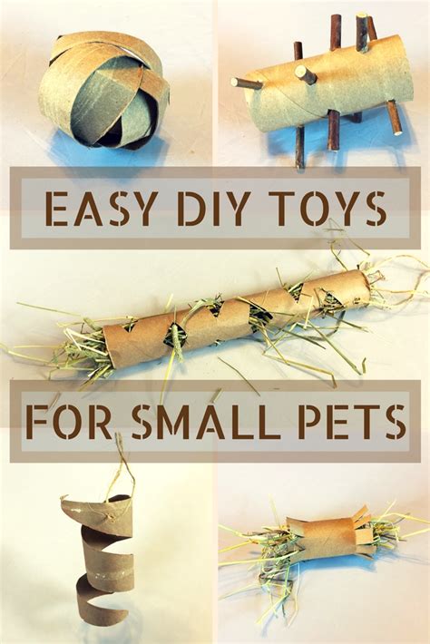 DIY Toilet Paper Roll Toys for Small Pets - Exotic Animal Supplies