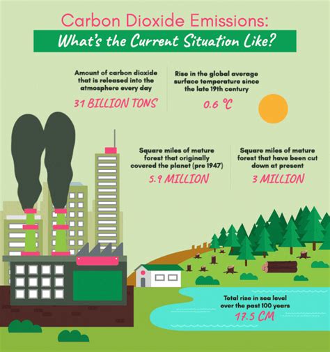 What is an Infographic? Examples, Templates, and Tutorials