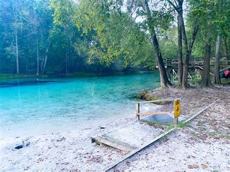 Tips For Gilchrist Blue Springs: A Natural Florida Paradise - Florida Trippers