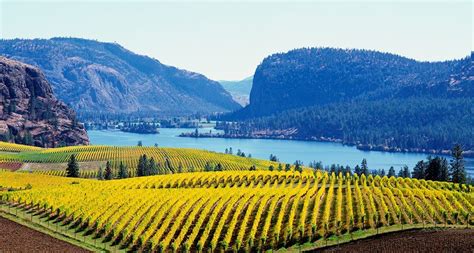 Wineries & Vineyards in British Columbia | Destination BC - Official ...