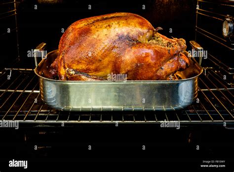 Gebratener Truthahn für Thanksgiving im Ofen Stockfotografie - Alamy