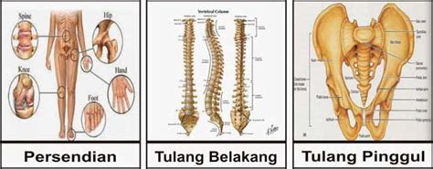 Patah Tulang – rskarimautama