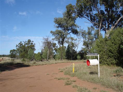 Wombat conservation | Environment, land and water | Queensland Government