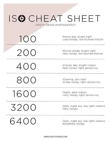 What ISO Setting Should I Use With My Digital Camera? | Photography settings, Photography camera ...