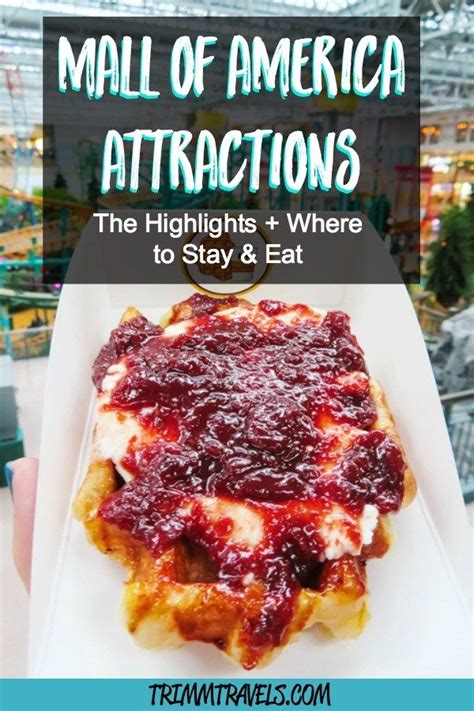 Mall of america attractions the highlights where to stay – Artofit