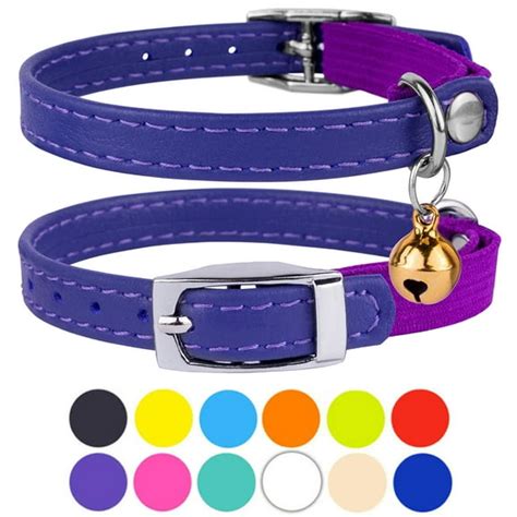 Fashionable Cat Collars