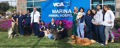 Marina Pet Hospital Marina Ca : Rfa Vca Marina Animal Hospital Marina Del Rey Ca : 358 ...