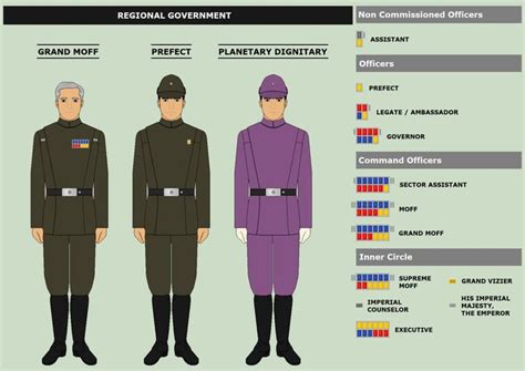 Rank Insignia (RIGHT) and some visual examples (LEFT) of the hierarchy ...