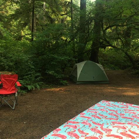 Mora Campground, WA | The Dyrt