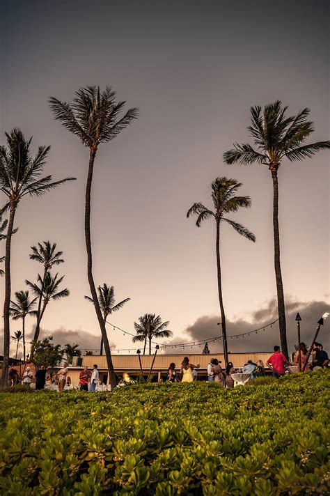 Royal Lahaina Resort Wedding | Maui Hawaii