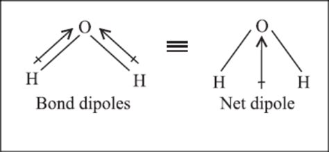 Chemistry: Chemical Bonding: Dipole Moment: Carbon Dioxide and Water ...