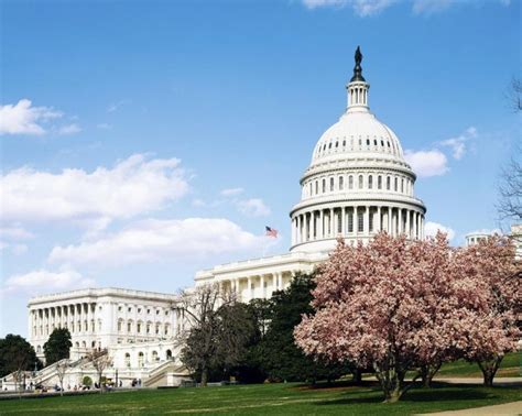 Fourteen candidates are running in the Republican primary on May 17 for ...