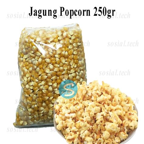 Jual Jagung Popcorn Biji Jagung Popcorn Mentah 250 gram | Shopee Indonesia