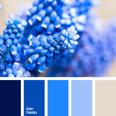 Color Palette #333 | Color Palette Ideas