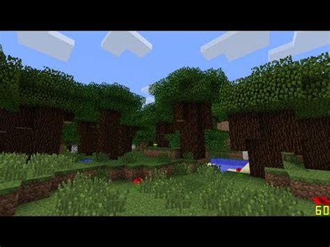 Forest Biome: Forest Biome Minecraft Seed