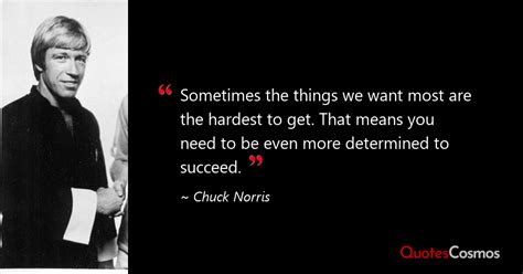 Chuck Norris Quotes - QuotesCosmos