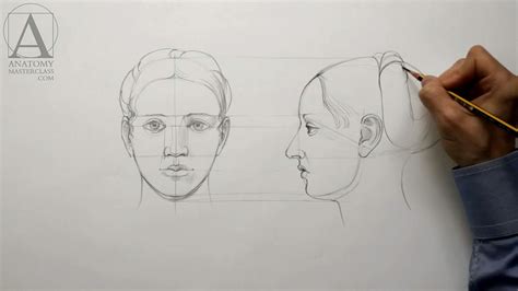 97 [TUTORIAL] HOW TO DRAW FACE BASIC PROPORTIONS with VIDEO + PDF ...