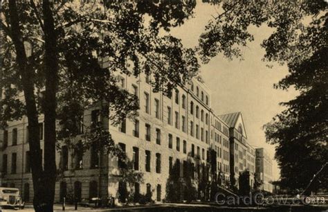 The University Museum at Harvard Cambridge, MA