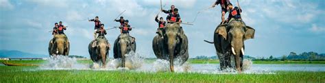 11 Malaysia Wildlife Tour Package - Malaysia Wildlife Tours