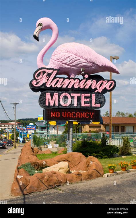 Sign for the Flamingo Motel with no vacancy and a large pink flamingo on top. Wisconsin Dells ...