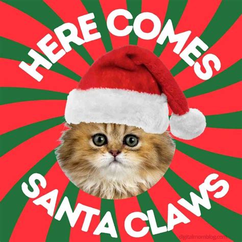 25 Purrfect Christmas Cat Memes: Feline Festive Fun