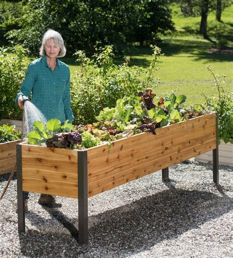 Gardener's Supply Company Raised Planter Box at George Cameron blog