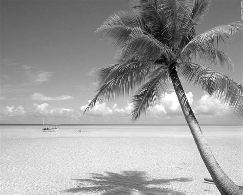 Beach Black and White Wallpapers - Top Free Beach Black and White Backgrounds - WallpaperAccess