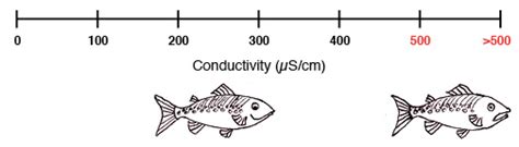 Water Quality 101 | ACE Project