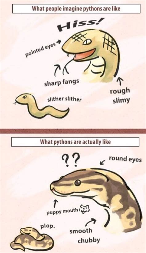 Truth of the snek - Meme by jimbobslurpnchug :) Memedroid