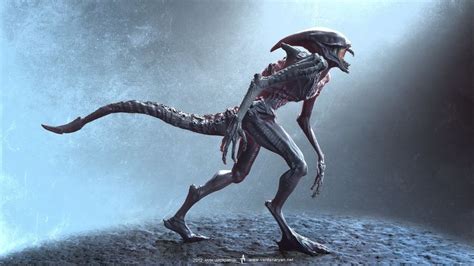 ArtStation - -Deacon-, Aram Vardazaryan | Xenomorph, Alien vs predator ...