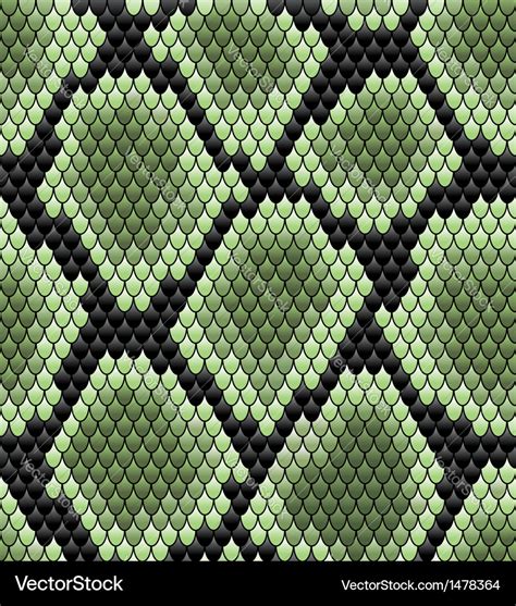 Green seamless snake skin pattern Royalty Free Vector Image