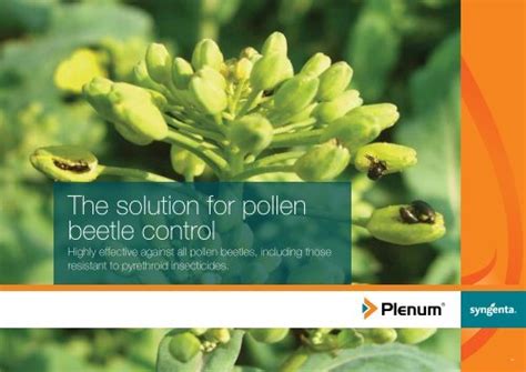 Brochure Pdf - Syngenta