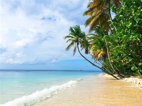 What to see and do in Tobago - Living with the Travel Bug