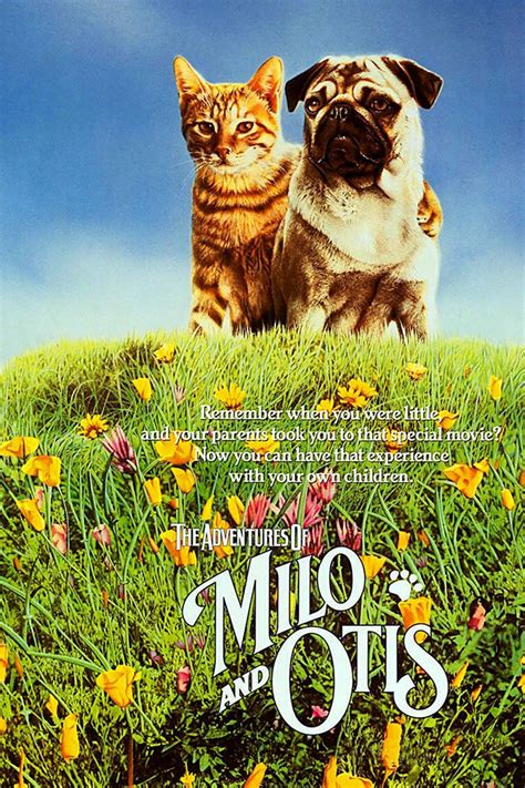 Doomsday Reels: The Adventures of Milo and Otis | CHUD.com