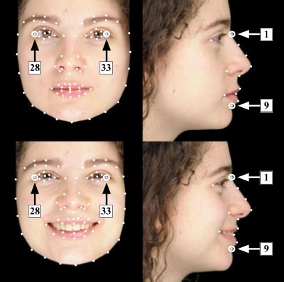 Faces Landmarks Datasets