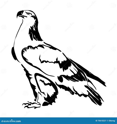 Realistic Outline Eagle Vector Illustration. Stock Vector - Image: 70610221