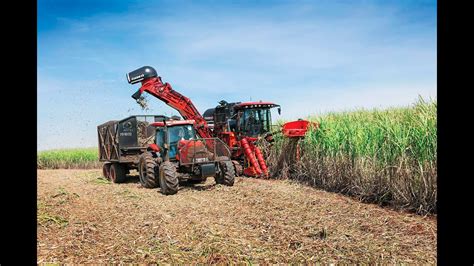 Sugar Cane Harvest in COFCO Brazil - Harvester CaseIH 9900 - YouTube