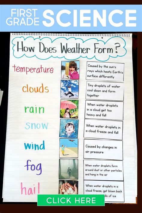 This first grade science curriculum contains science experiments ...