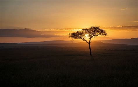 Kenyan Nature Reserve Photography – Fubiz Media