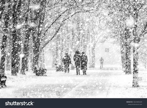 13,131 Dog Snowfall Images, Stock Photos & Vectors | Shutterstock