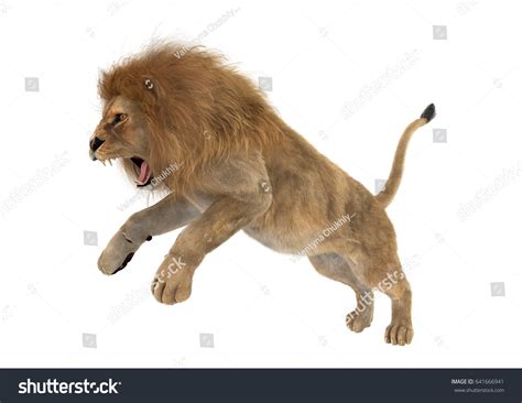 3,289 Lion Jumping Illustration Images, Stock Photos & Vectors ...