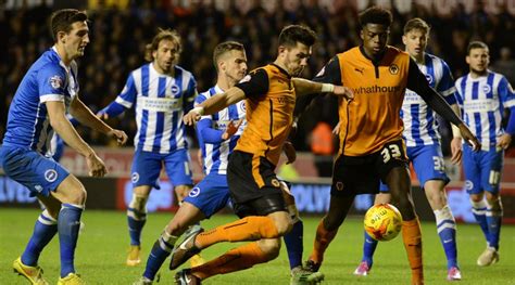 Brighton & Hove Albion Vs Wolves Preview