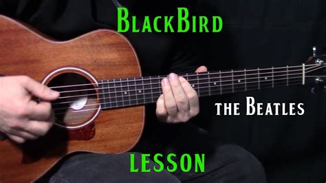 how to play Blackbird by The Beatles_Paul McCartney - acoustic guitar ...