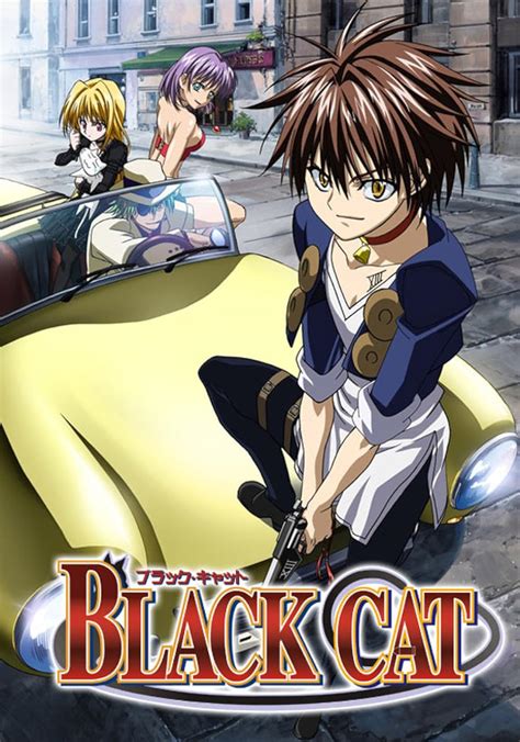 Black Cat (TV Series 2005–2006) - IMDb