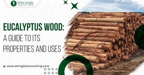 Eucalyptus Wood : A Guide to its Properties and Uses