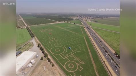 World's largest corn maze at Cool Patch Pumpkins in Dixon, CA | abc10.com