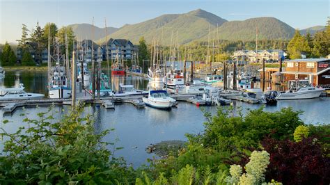 Ucluelet turismo: Qué visitar en Ucluelet, Columbia Británica, 2022| Viaja con Expedia