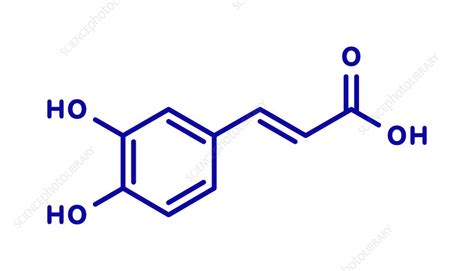 Caffeic acid molecule, illustration - Stock Image - F028/2280 - Science Photo Library